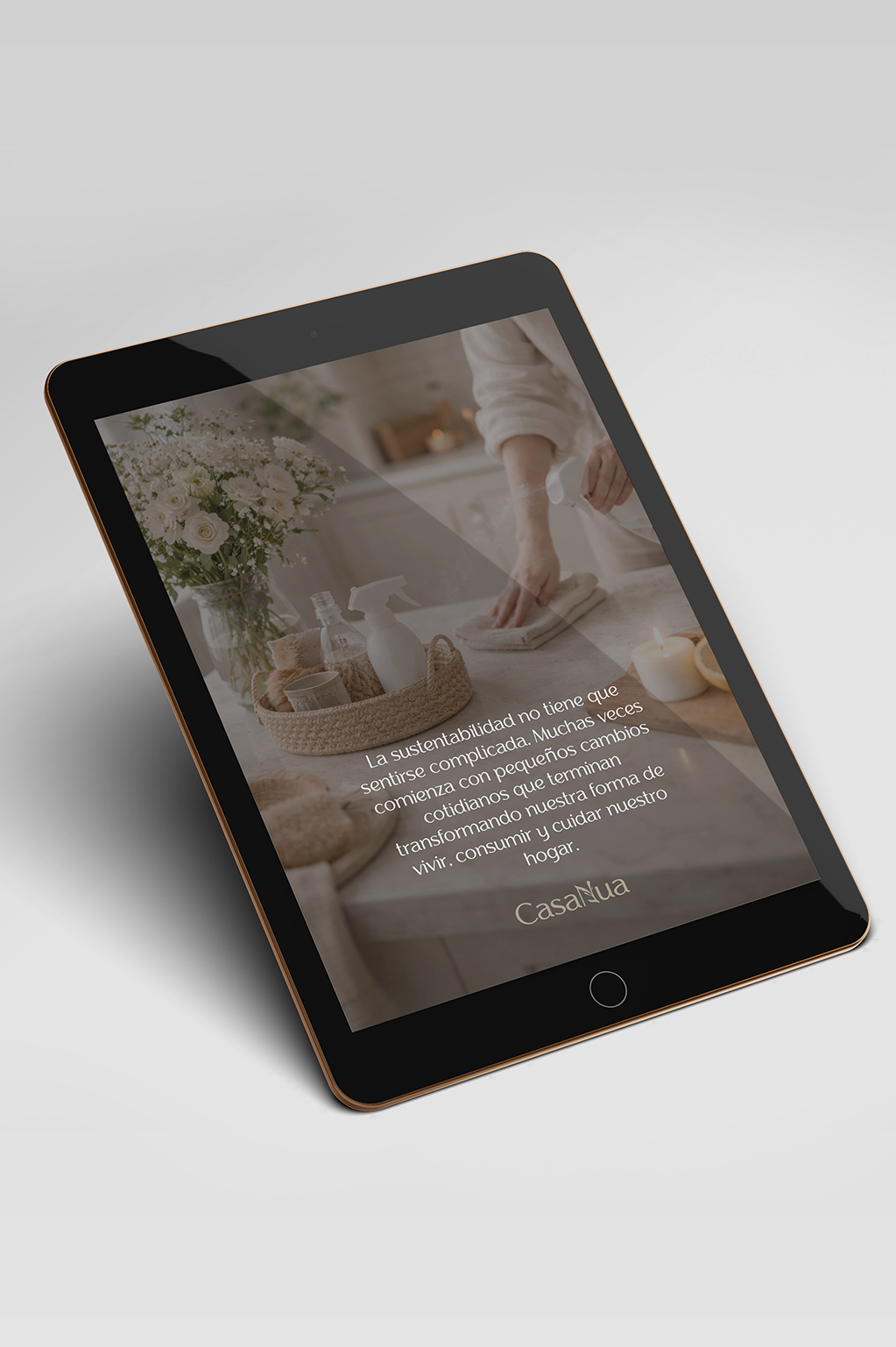 E-book: 63 recetas alternativas para la limpieza y el cuidado del hogar